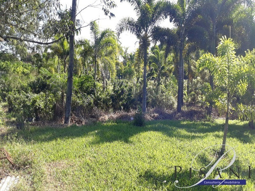 Sitio - St00012 - 33660008
