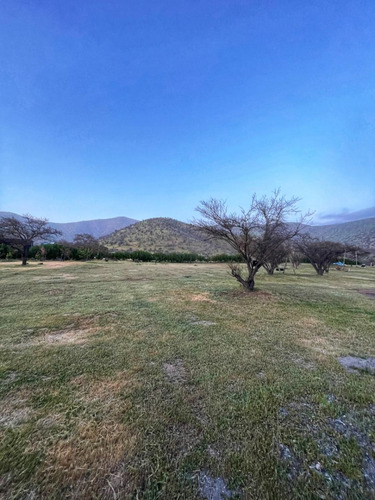 Dueño Vende Terreno Curacavi Sector Cuesta Barriga