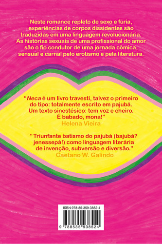 Neca: Romance Em Bajubá, De Amara Moira. Editorial Companhia Das Letras, Capa Mole, Edição 1 Em Português, 2024