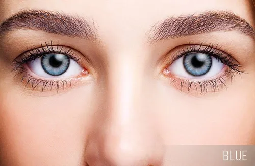Pupilentes Freshlook Dailies 1 Par 100 Originales