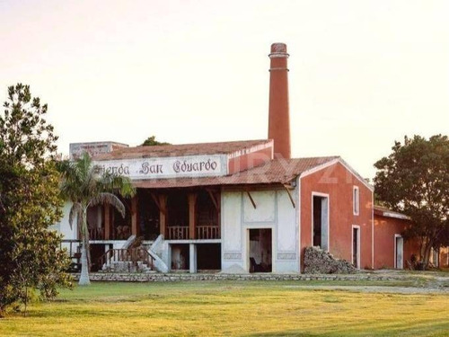 Imagen 5 de 17 de Preventa De Lotes Residenciales 100% Urbanizados En Hacienda San Eduardo