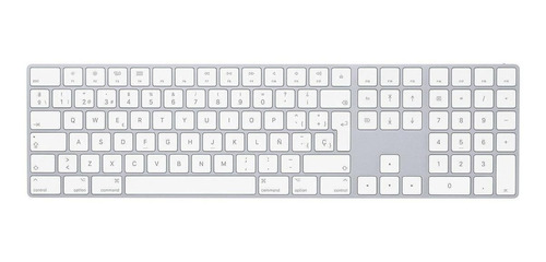 Imagen 1 de 1 de Teclado Bluetooth Apple Magic Keyboard With A1843 Mq052e/a