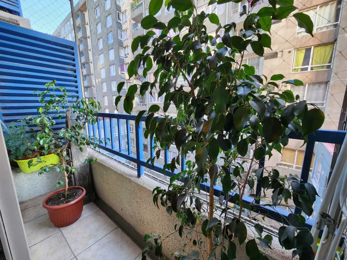 Imagen 3 de 21 de Amplio Departamento 3 Dormitorios/1 Baño. (152887)