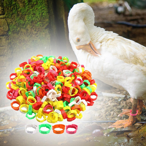 100 Pçs Anéis De Perna De Frango Banda De Identificação