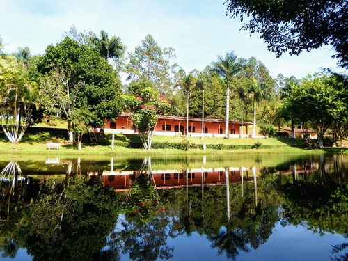 Imagem 10 de 10 de Sítio Com Lagos Cheios De Peixes Piscina Campo De Futebol Ótima Localização