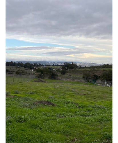 Vive En El Campo A Sólo Minutos De La Ciudad. Boldos  De San