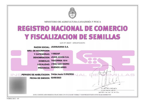 Semillas Feminizadas Celosa Shuga Seeds X3