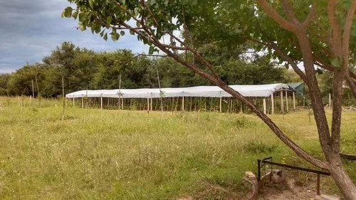 El Poleo Granja Agroecologica A 30 Kms De Merlo San Luis