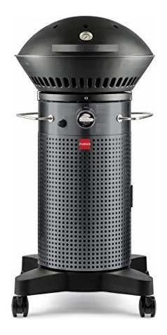 Fuego F21c-h Element - Parrilla De Gas Propano Con Bisagras,