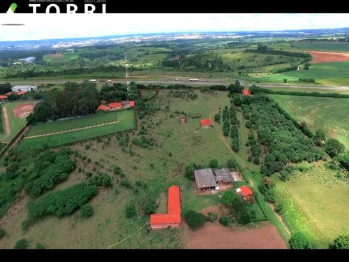Imagem 1 de 7 de Sitio Na Rodovia Castelo Branco - St00077 - 68238939