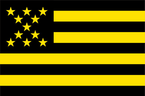 Bandera Peñarol Futbol Bordada Calidad Superior 140x90cm