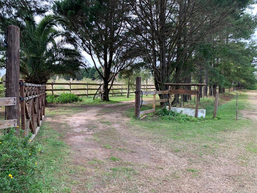 Imagen 10 de 30 de 51 Ha. Haras Madrigal En Zona Rural De Zarate