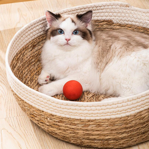Cesta Para Cama De Gato Tejida A Mano Cama De Salón