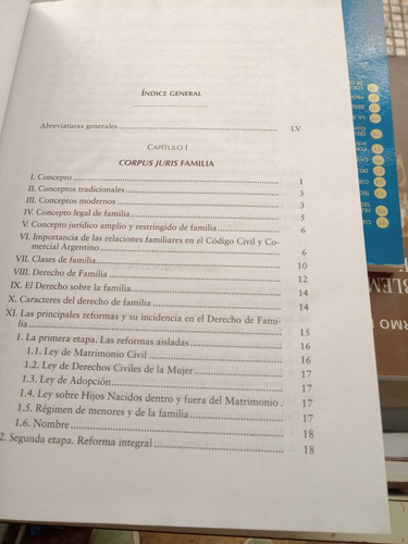 G Medina Y E Roveda Derecho De Familiaedición De Lujo Nuevo