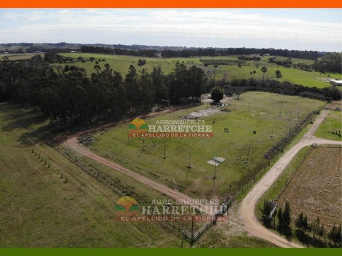 Imagen 14 de 22 de Chacra En Venta 3 Has Con Casa En El Colorado