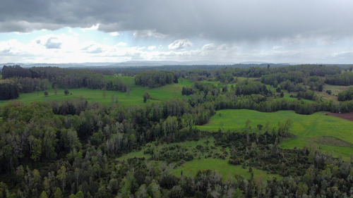 Campo En La Unión Cercano Al Lago Ranco 27,4 Hectáreas