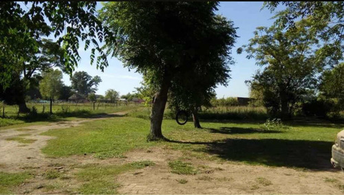 Imagen 6 de 10 de Se Alquila 8 Caballerizas Vareador Casa De Casero