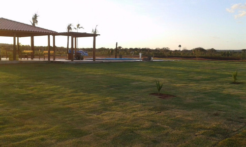 Imagem 3 de 8 de Terreno Em Euclides Da Cunha Fazenda Real 3.025mts Ac/ Prop