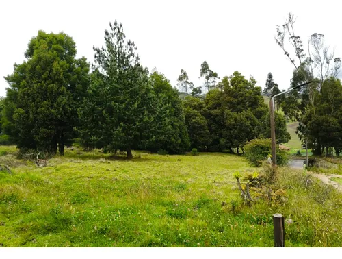 Proyecto Campestre