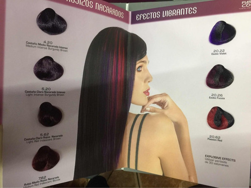 Imagen 9 de 10 de Tinte Loquay + Peróxidos Gratis