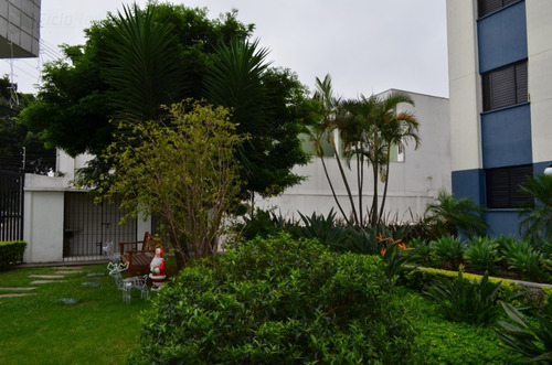 Apartamento Para Venda, 3 Dormitórios, Vila Albertina - São Paulo - 2699