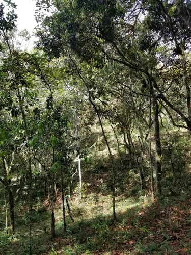 Lote En Venta En Paraje Cabeceras. Cod V12135