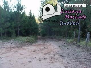 Imagem 2 de 15 de Terreno Residencial Para Venda Em Atibaia, Vitória Régia - Te00102_2-658841