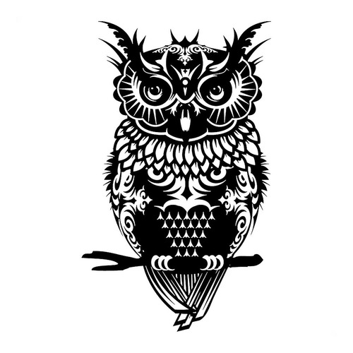 Adesivo Várias Cores 40x24cm - Coruja Owl Night Forest Flore