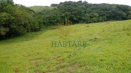 Imagem 4 de 15 de Fazenda Para Venda Em Ouro Fino, - - Fazenda 0_1-2221666