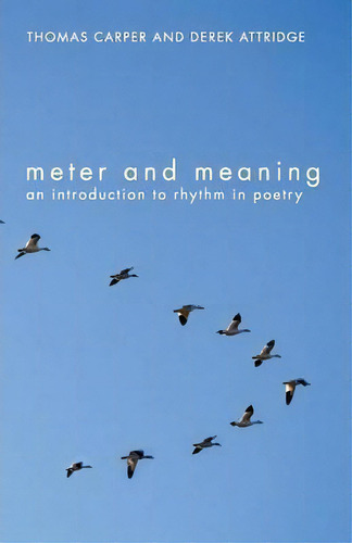 Meter And Meaning, De Thomas Carper. Editorial Taylor Francis Ltd, Tapa Blanda En Inglés