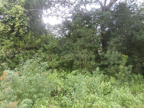 Imagem 3 de 3 de Terreno - Venda - Recanto Dos Bandeirantes - Itanhaem - Ita2962