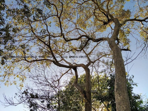 Imagem 5 de 14 de Terreno Para Venda Em Teresina, Morros - Lote Coli_2-1229049