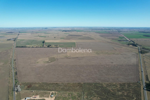 Imagen 4 de 27 de Terreno Campo En Venta En Carmen De Areco, Resto De La Provincia, Buenos Aires