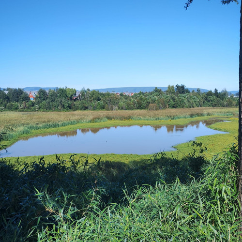 A Solo 15 Minutos Del Centro De Valdivia (108306)