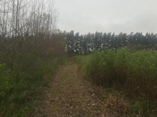 Imagen 6 de 9 de Terreno En Venta En Alto Los Cardales