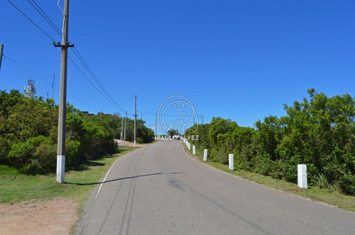 Imagen 3 de 14 de Terrenos-venta-cerro-san-antonio-te216