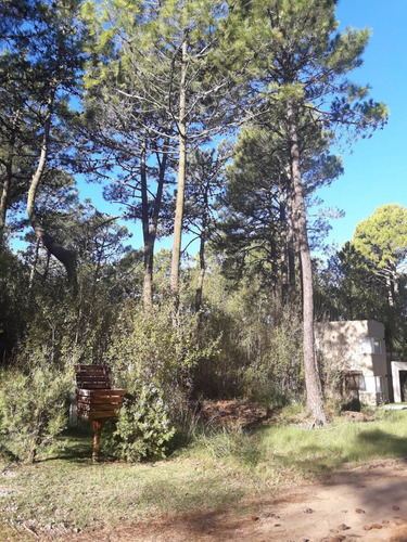 Imagen 9 de 14 de Dueño Vende Lote 21*49=1.029 Metros-20 Pinos De Gran Altura