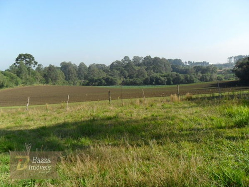 Imagem 10 de 16 de Rural Chacara Com 1 Quarto - 508-v