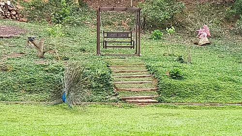 Chácara Piscina, Cachoeira, Salão De Jogos, Churrasqueira