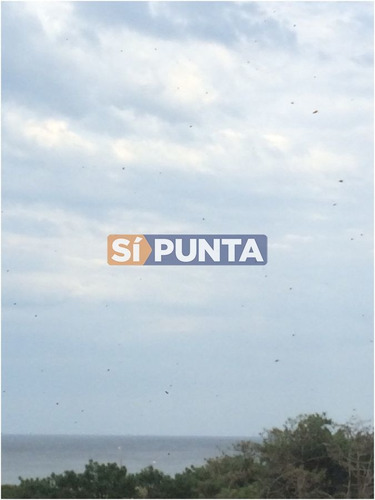 Imagen 5 de 24 de Apartamento En Edificio Con Todos Los Servicios