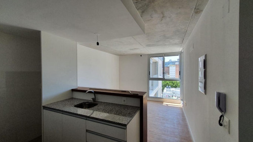 Imagen 1 de 11 de Venta Apartamento 1 Dormitorio En El Centro