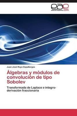 Algebras Y Modulos De Convolucion De Tipo Sobolev - Royo ...