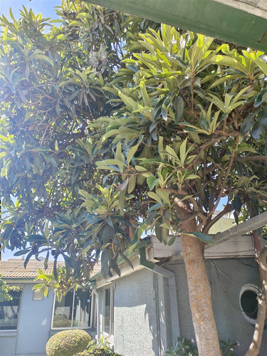 Casa En Venta De 6 Dorm. En San Antonio