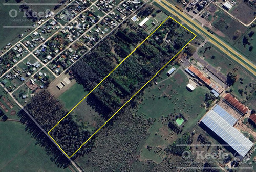 Chacra En Venta 8,5 Has Brandsen Sobre Ruta 2 - Ideal Proyecto Inmobiliario