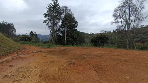 Terreno En Venta En Rionegro - Llanogrande Cod 67031