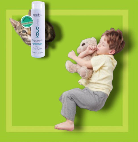 Shampoo Zacht Profissional Koud 250ml Mentolado 2 Em 1