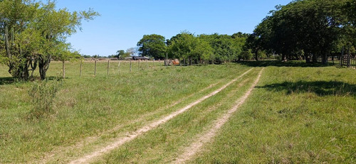 Lote En Venta En Colonia Porvenir