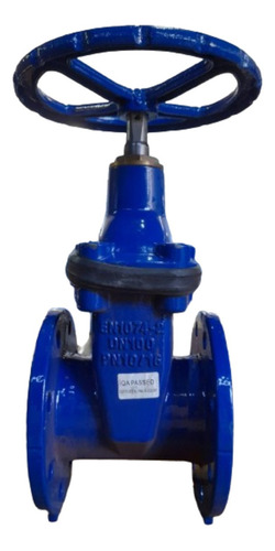 Válvula Registro Gaveta C/flanges Ferro 100mm Pam Saint-gobain R23fvgtw