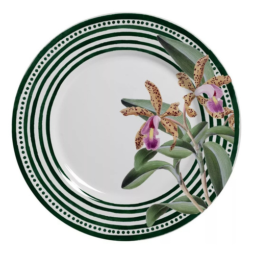 Aparelho De Jantar Orchid 20 Peças Alleanza