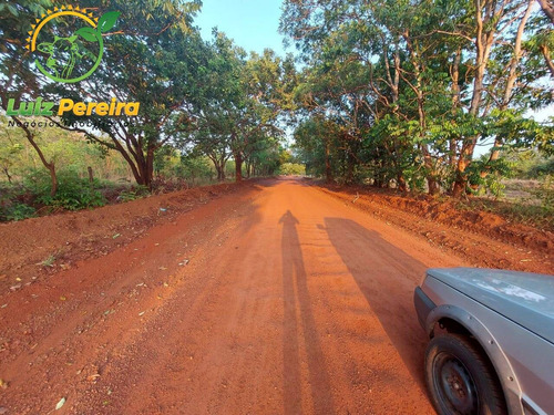 Imagem 11 de 12 de Fazenda À Venda Em Abreulândia - 696,96 Hectares (dupla Aptidão) - 2023